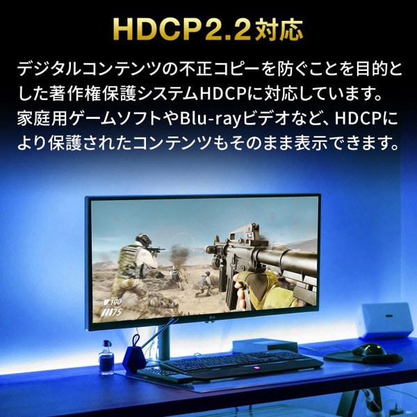 サンワサプライ HDMI切替器 4K・HDR・HDCP2.2対応 SW-HDR21BD 1個（ご注文単位1個）【直送品】