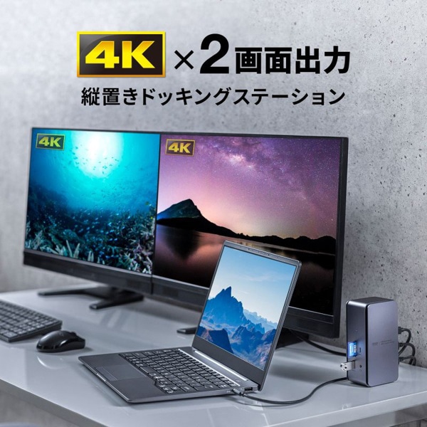 サンワサプライ USB Type-C ドッキングステーション HDMI×2画面出力対応 USB-CVDK12 1個（ご注文単位1個）【直送品】