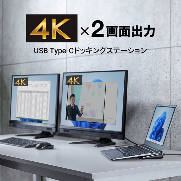 サンワサプライ USB Type-C ドッキングステーション 4K対応・HDMI×2画面出力 USB-CVDK14 1個（ご注文単位1個）【直送品】