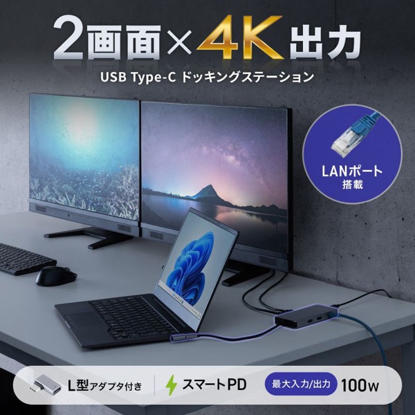 サンワサプライ USB Type-C ドッキングステーション USB-DKM8S 1個（ご注文単位1個）【直送品】