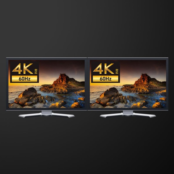 サンワサプライ USB-A／HDMI ディスプレイアダプタ 4K×2画面出力 USB-CVU3HD6 1個（ご注文単位1個）【直送品】