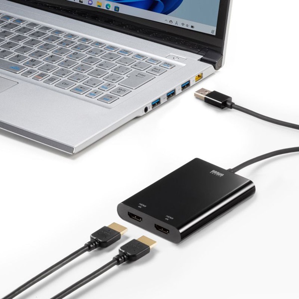 サンワサプライ USB-A／HDMI ディスプレイアダプタ 4K×2画面出力 USB-CVU3HD6 1個（ご注文単位1個）【直送品】