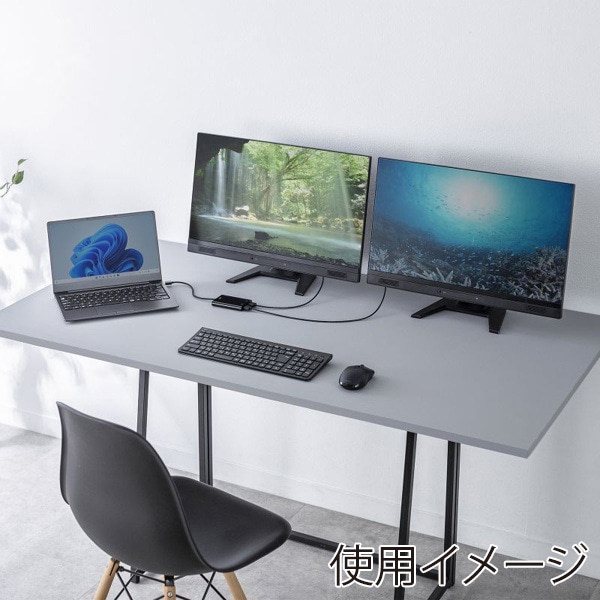 サンワサプライ USB-A／HDMI ディスプレイアダプタ 4K×2画面出力 USB-CVU3HD6 1個（ご注文単位1個）【直送品】