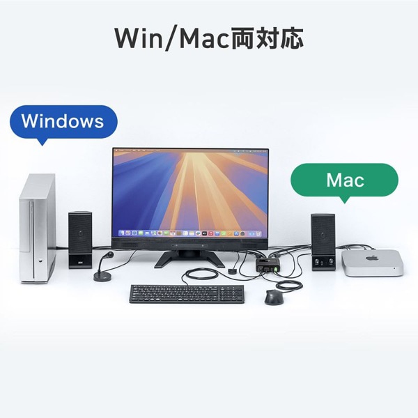 サンワサプライ パソコン自動切替器 4K・HDMI対応 SW-KVM2WHUUS 1個（ご注文単位1個）【直送品】