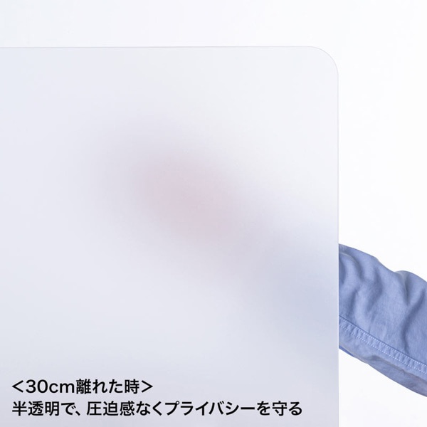 サンワサプライ 自立式デスクパネル SPT-DPJR60H 1個（ご注文単位1個）【直送品】