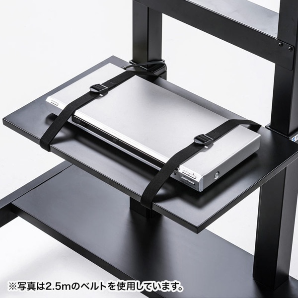 サンワサプライ 機器固定ベルト 2.0m 2本セット RAC-BL4 1個（ご注文単位1個）【直送品】