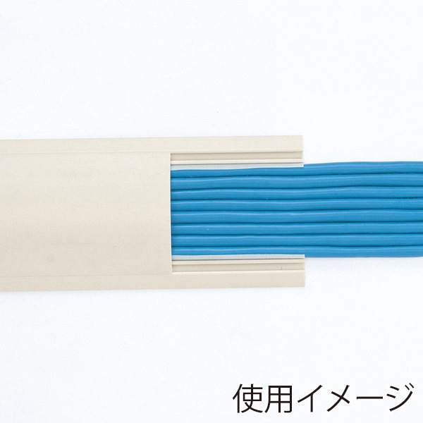 サンワサプライ ケーブルカバー 70mm×1m アイボリー CA-R70 1個（ご注文単位1個）【直送品】