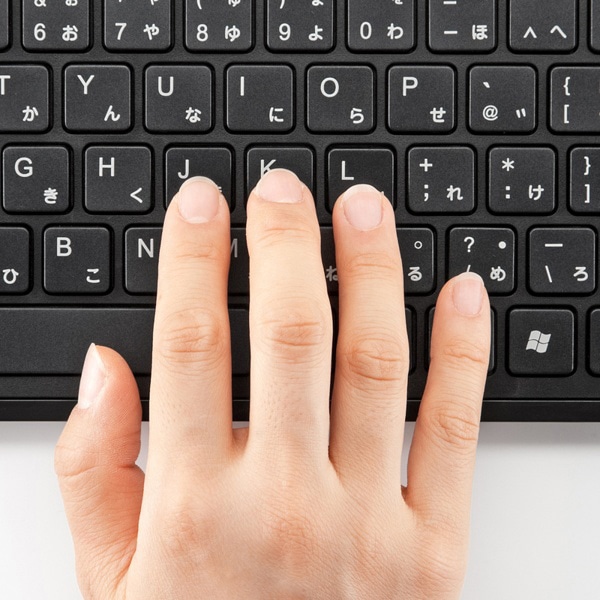 サンワサプライ スリムキーボード ブラック SKB-SL16BK 1個(ご注文単位1個)【直送品】