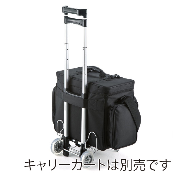 サンワサプライ プロジェクターバッグ BAG-PRO4 1個(ご注文単位1個)【直送品】