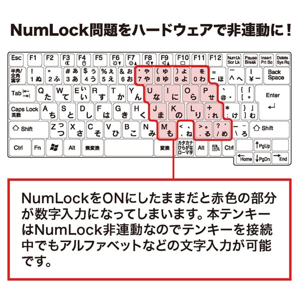サンワサプライ USBテンキー TABキー付き ブラック NT-17UBKN 1個（ご注文単位1個）【直送品】