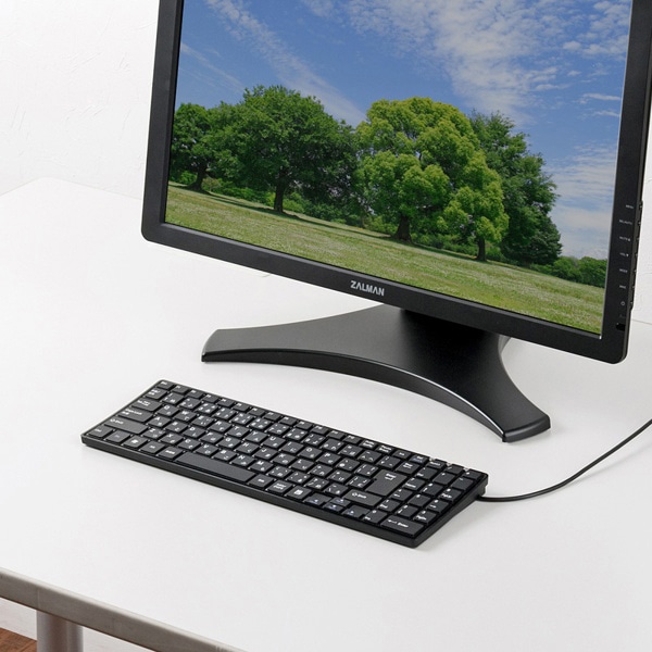 サンワサプライ USBスリムキーボード テンキー付き ブラック SKB-SL17BKN 1個（ご注文単位1個）【直送品】