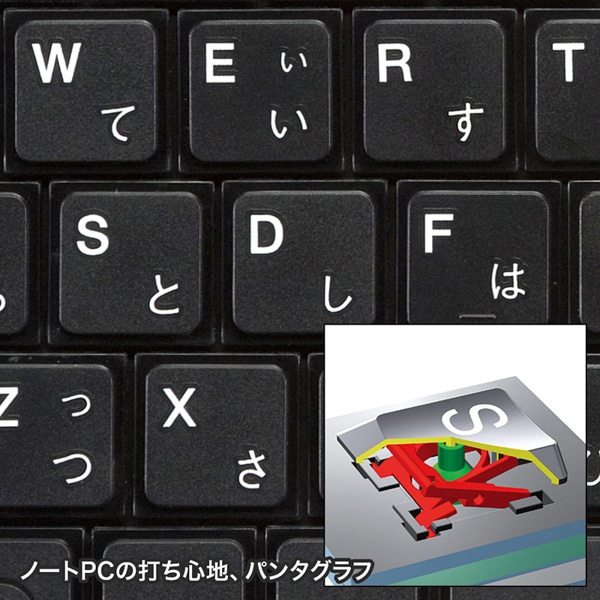 サンワサプライ USBスリムキーボード テンキー付き ブラック SKB-SL17BKN 1個（ご注文単位1個）【直送品】