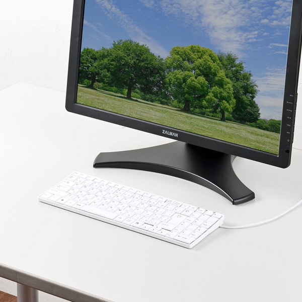 サンワサプライ USBスリムキーボード テンキー付き ホワイト SKB-SL17WN 1個（ご注文単位1個）【直送品】