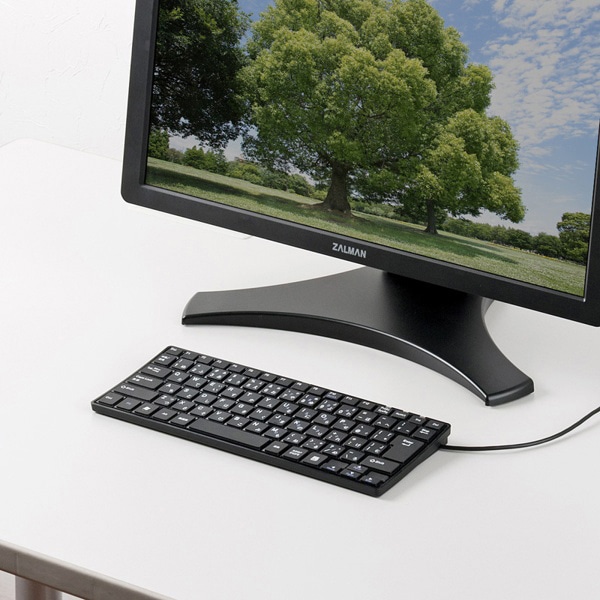 サンワサプライ USBスリムキーボード テンキーなし ブラック SKB-SL18BKN 1個（ご注文単位1個）【直送品】