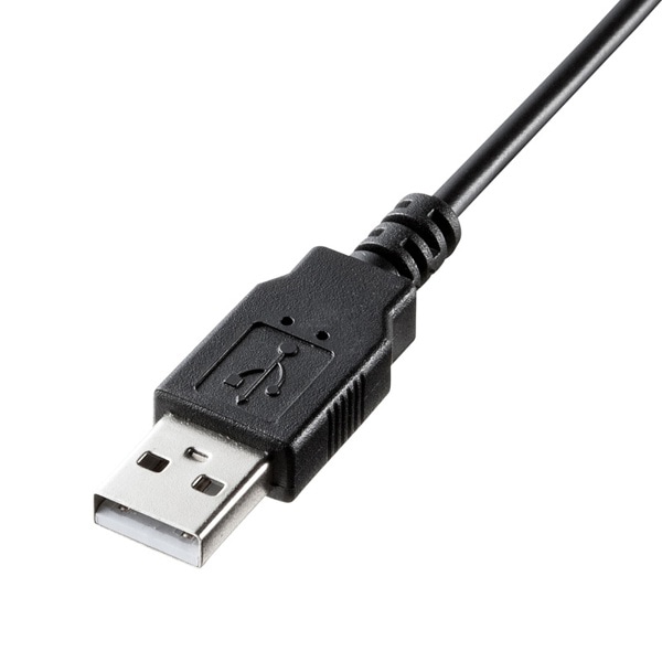 サンワサプライ USBスリムキーボード テンキーなし ブラック SKB-SL18BKN 1個（ご注文単位1個）【直送品】