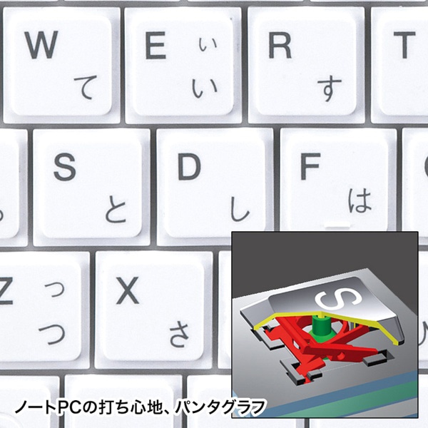 サンワサプライ USBスリムキーボード テンキーなし ホワイト SKB-SL18WN 1個（ご注文単位1個）【直送品】