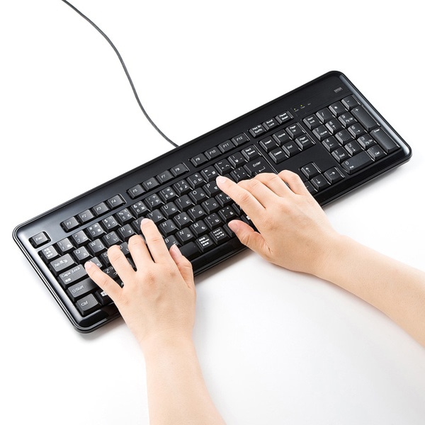 サンワサプライ USBハブ付キーボード テンキー付き ブラック SKB-SL21UHBK 1個（ご注文単位1個）【直送品】