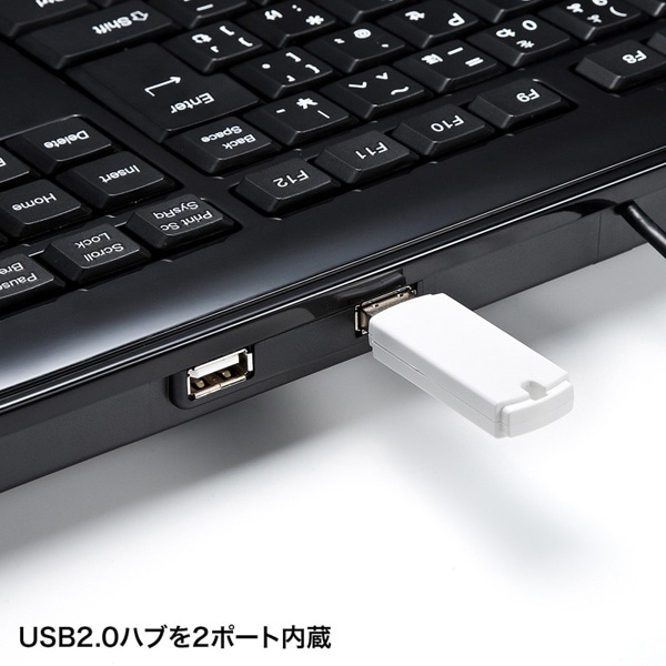 サンワサプライ USBハブ付キーボード テンキー付き ブラック SKB-SL21UHBK 1個（ご注文単位1個）【直送品】