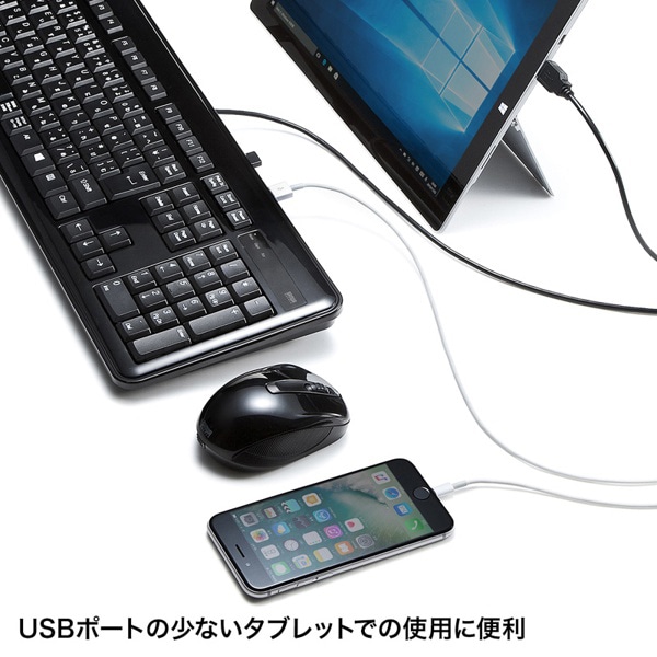 サンワサプライ USBハブ付キーボード テンキー付き ブラック SKB-SL21UHBK 1個（ご注文単位1個）【直送品】