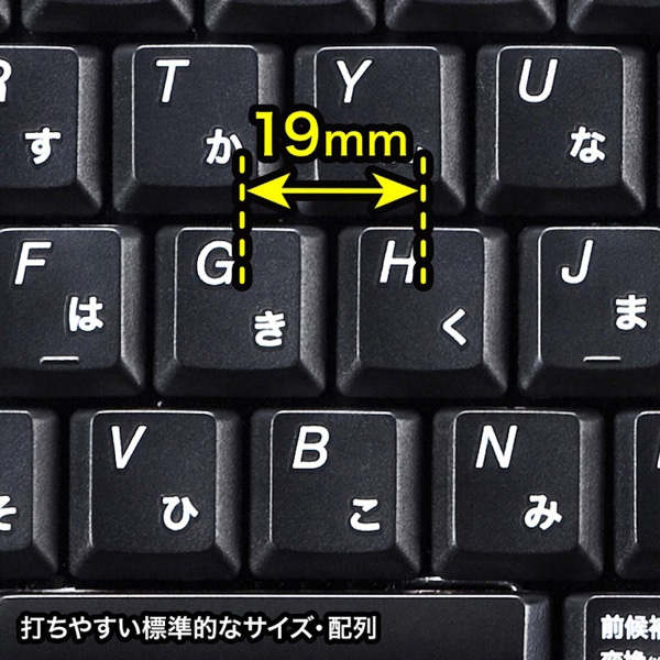 サンワサプライ USBハブ付キーボード テンキー付き ブラック SKB-SL21UHBK 1個（ご注文単位1個）【直送品】
