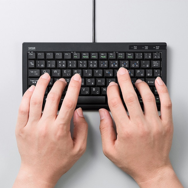 サンワサプライ USBスリムキーボード テンキーなし ブラック SKB-SL28BK 1個（ご注文単位1個）【直送品】