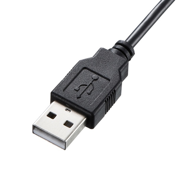 サンワサプライ USBスリムキーボード テンキーなし ブラック SKB-SL28BK 1個（ご注文単位1個）【直送品】