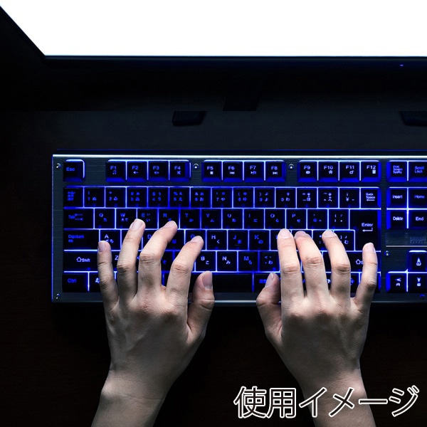 サンワサプライ バックライト機能付きキーボード テンキー付き SKB-WAR3 1個（ご注文単位1個）【直送品】