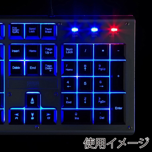サンワサプライ バックライト機能付きキーボード テンキー付き SKB-WAR3 1個（ご注文単位1個）【直送品】