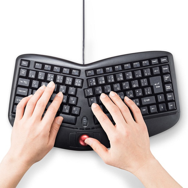 サンワサプライ エルゴノミクスキーボード トラックボール SKB-ERG5BK 1個（ご注文単位1個）【直送品】
