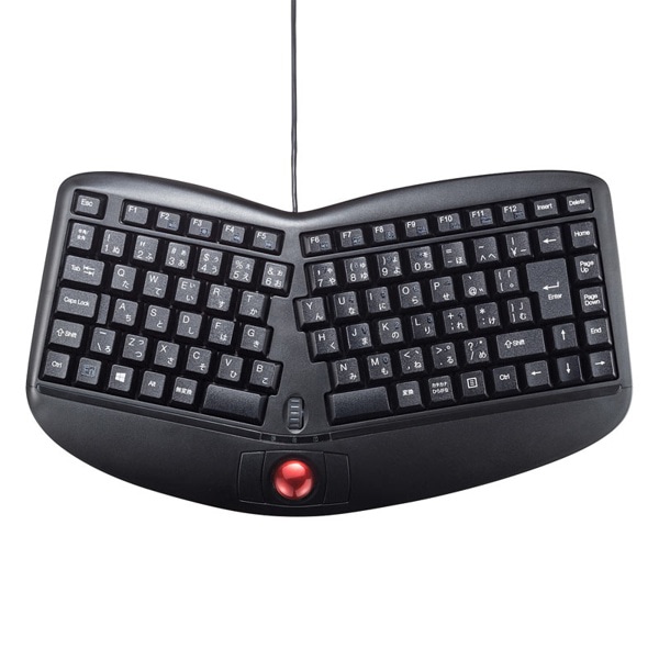 サンワサプライ エルゴノミクスキーボード トラックボール SKB-ERG5BK 1個（ご注文単位1個）【直送品】