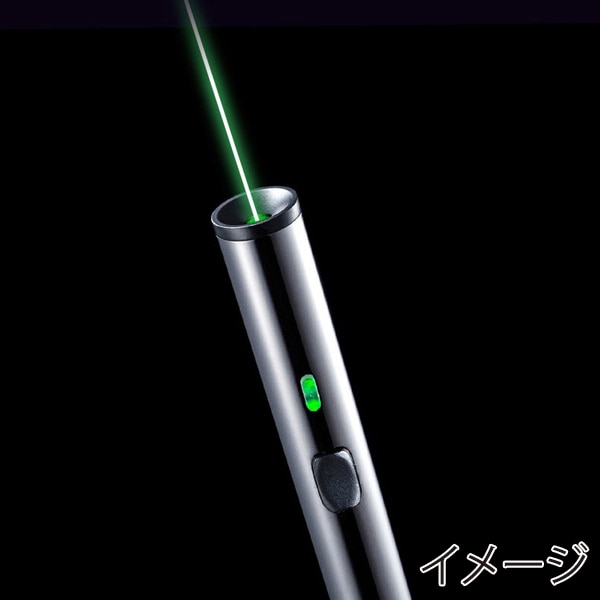 サンワサプライ グリーンレーザーポインター 電池長寿命 LP-GL1015BK 1個（ご注文単位1個）【直送品】