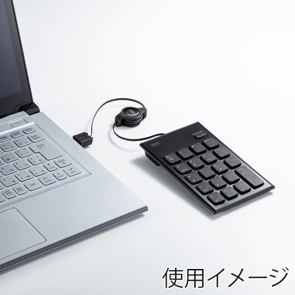 サンワサプライ 巻取り USBテンキー ブラック NT-21UBK 1個(ご注文単位1個)【直送品】