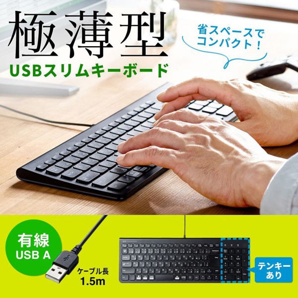 サンワサプライ USBスリムキーボード ブラック SKB-SL31BK 1個（ご注文単位1個）【直送品】