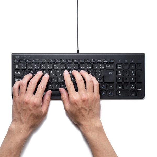 サンワサプライ USBスリムキーボード ブラック SKB-SL31BK 1個（ご注文単位1個）【直送品】