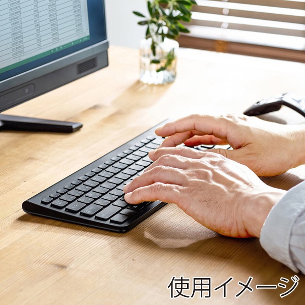 サンワサプライ ワイヤレススリムキーボード テンキーあり ブラック SKB-WL31BK 1個（ご注文単位1個）【直送品】