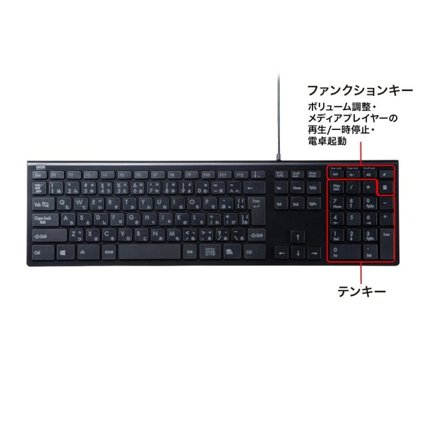 サンワサプライ USBスリムキーボード テンキーあり ブラック SKB-SL33BK 1個（ご注文単位1個）【直送品】