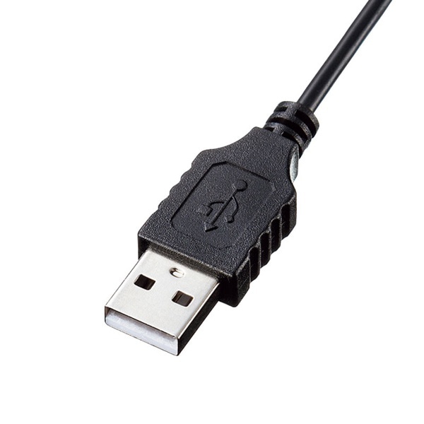 サンワサプライ USBスリムキーボード テンキーあり ブラック SKB-SL33BK 1個（ご注文単位1個）【直送品】