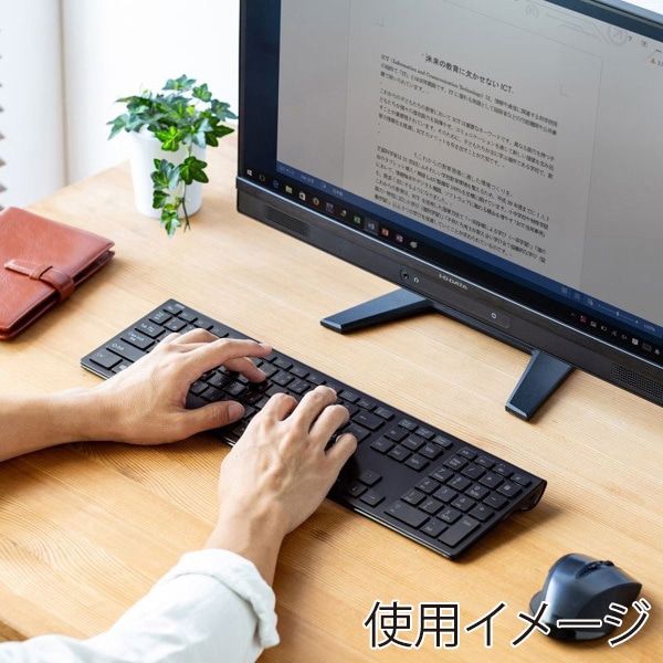 サンワサプライ ワイヤレススリムキーボード テンキーあり ブラック SKB-WL33BK 1個（ご注文単位1個）【直送品】