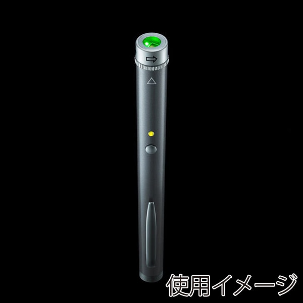 サンワサプライ 高輝度グリーンレーザーポインター 照射形状可変 LP-GL1018GY 1個（ご注文単位1個）【直送品】