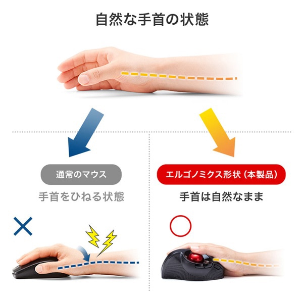 サンワサプライ Bluetooth エルゴトラックボール ブラック MA-BTTB179BK 1個（ご注文単位1個）【直送品】