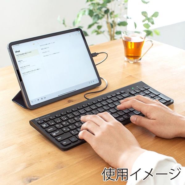 サンワサプライ スリムキーボード USB Type-C テンキーあり ブラック SKB-SL31CBK 1個（ご注文単位1個）【直送品】