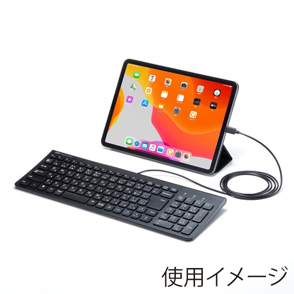 サンワサプライ スリムキーボード USB Type-C テンキーあり ブラック SKB-SL31CBK 1個（ご注文単位1個）【直送品】