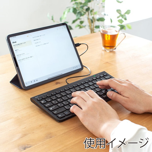 サンワサプライ スリムキーボード USB Type-C テンキーなし ブラック SKB-SL32CBK 1個(ご注文単位1個)【直送品】