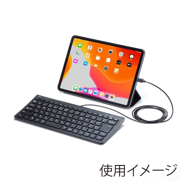 サンワサプライ スリムキーボード USB Type-C テンキーなし ブラック SKB-SL32CBK 1個(ご注文単位1個)【直送品】
