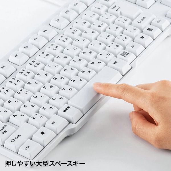 サンワサプライ USBキーボード ホワイト SKB-L1UN 1個（ご注文単位1個）【直送品】