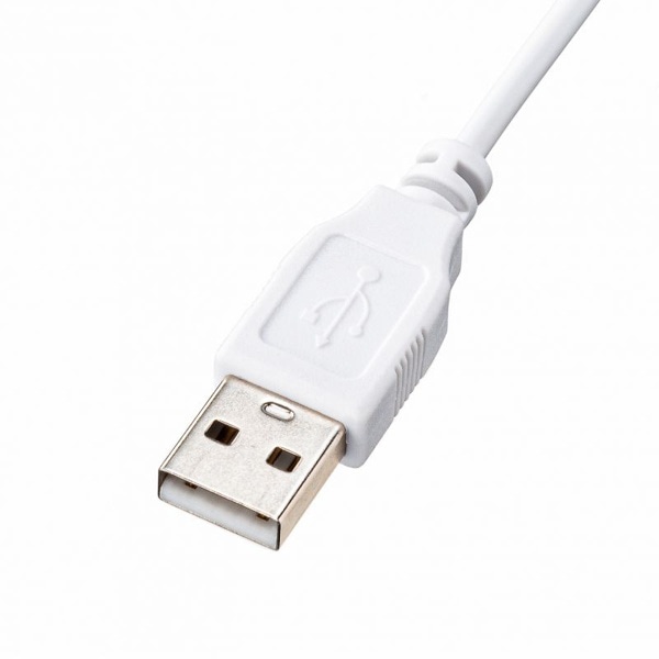 サンワサプライ USBキーボード ホワイト SKB-L1UN 1個（ご注文単位1個）【直送品】