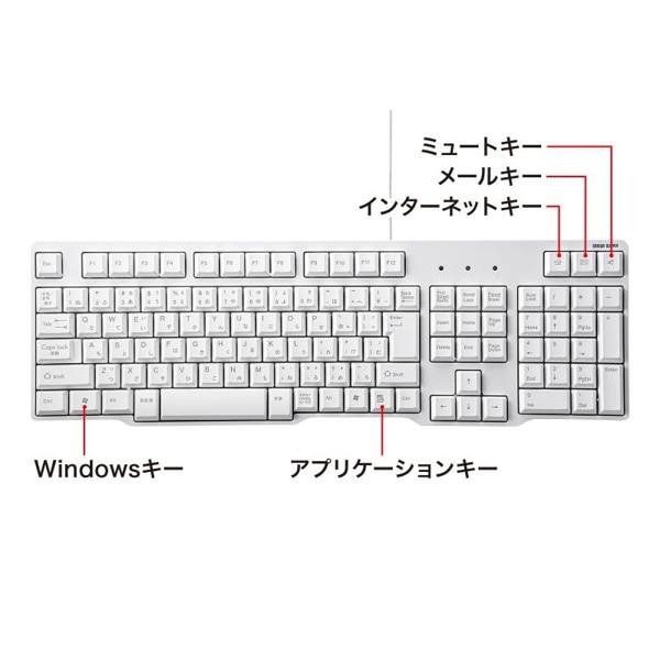 サンワサプライ PS／2キーボード ホワイト SKB-L1N 1個（ご注文単位1個）【直送品】