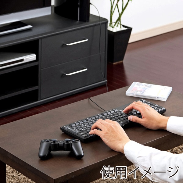 サンワサプライ USBキーボード ブラック SKB-L2UBKN 1個(ご注文単位1個)【直送品】