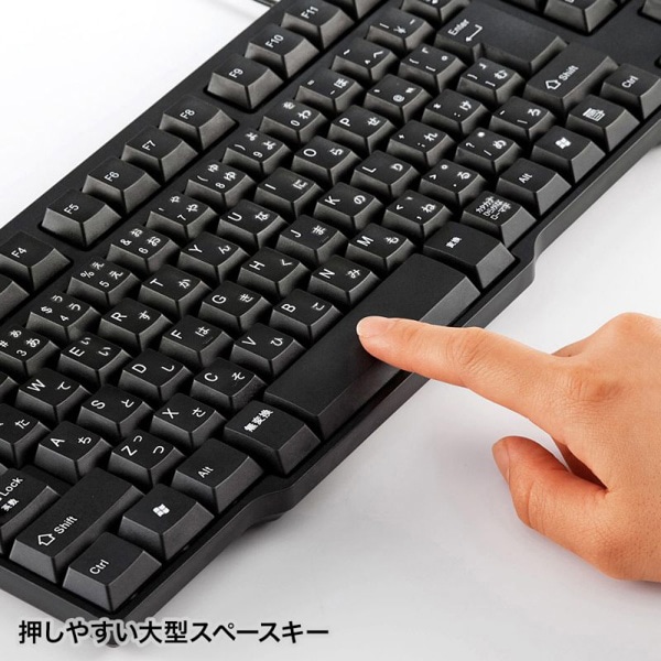 サンワサプライ USBキーボード ブラック SKB-L2UBKN 1個(ご注文単位1個)【直送品】