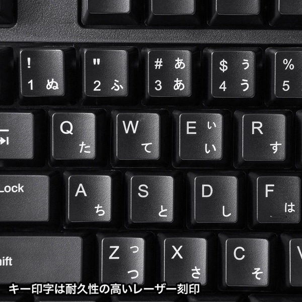 サンワサプライ 日本語109キーボード PS／2コネクタ ブラック SKB-109PBK 1個（ご注文単位1個）【直送品】